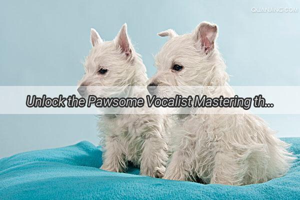 Unlock the Pawsome Vocalist Mastering the Art of Teaching Your Dog to Howl with Eloquence